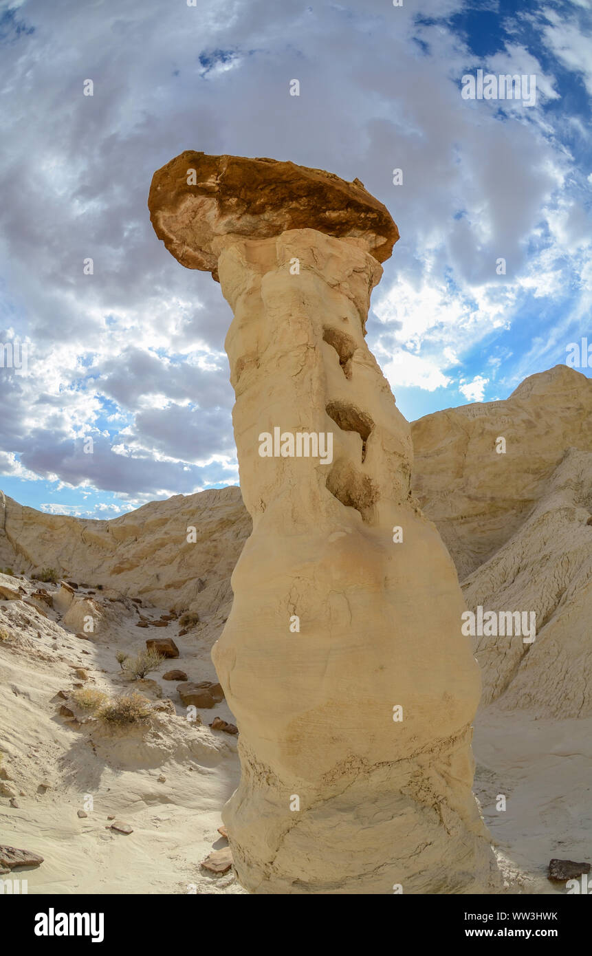 Die fliegenpilze von Utah Stockfoto