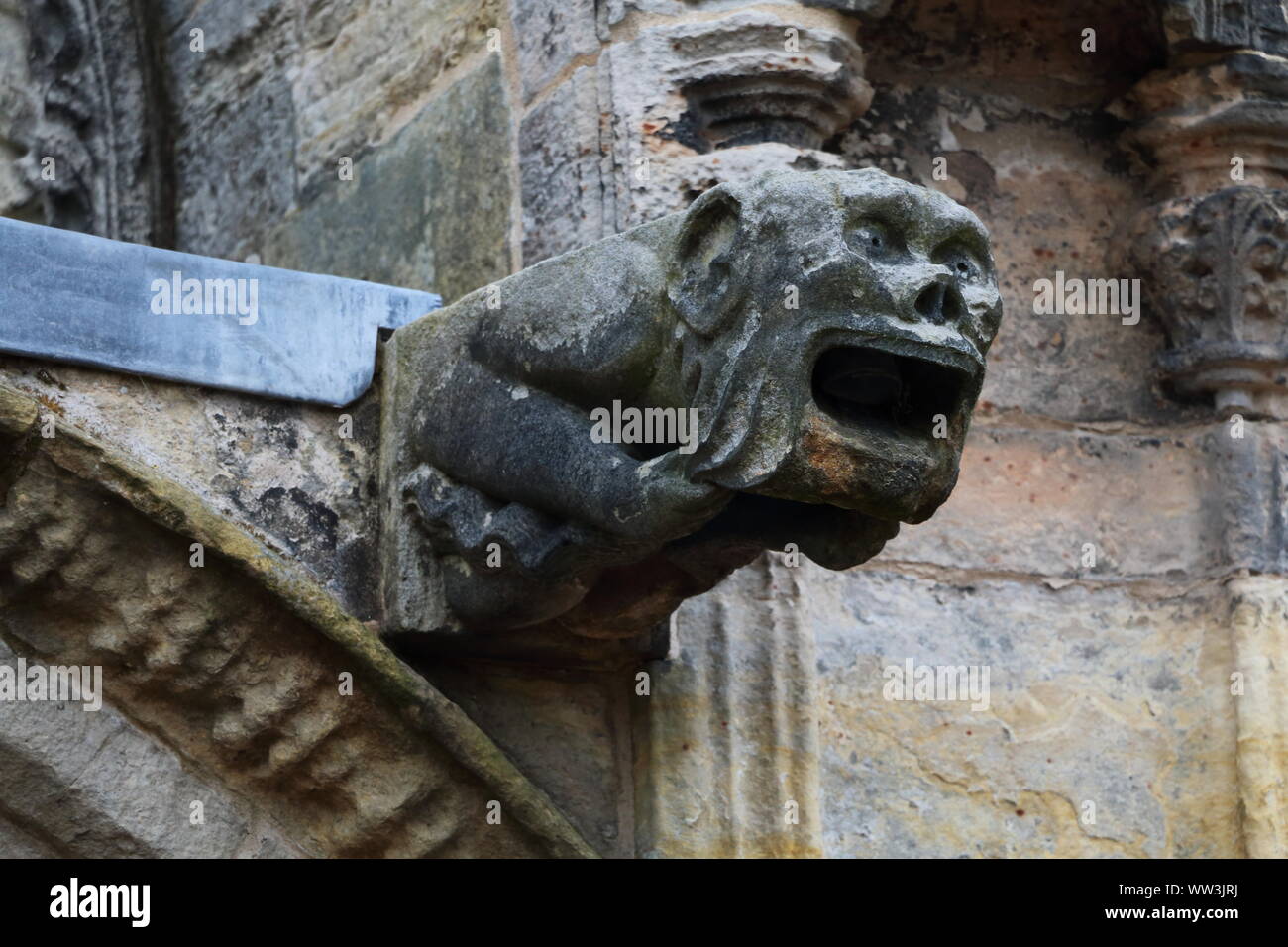 Gargoyle, Rosslyn Chapel, Schottland Stockfoto