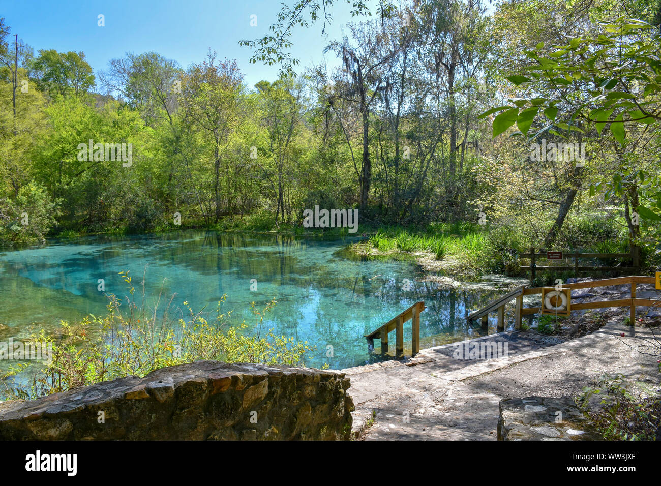 Die schöne türkis Quellgebiet in Ichetucknee Springs State Park in der Nähe von Gainesville, Florida, USA sind eine magische und beschaulichen Ort zu besuchen. Stockfoto