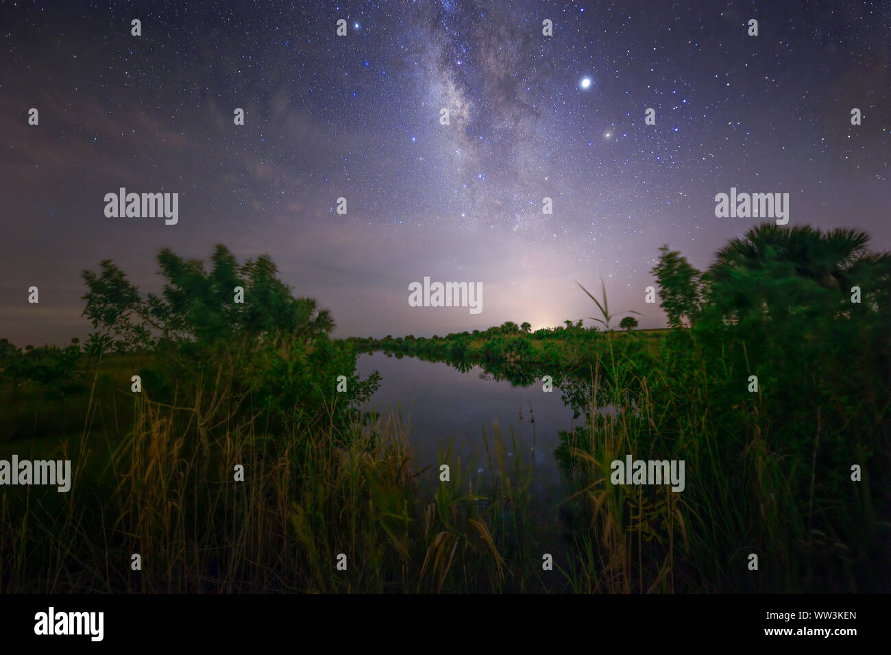 Die Milchstraße leuchtet am Himmel über einem kleinen Nebenfluß in Big Cypress National Preserve in Südflorida. Stockfoto