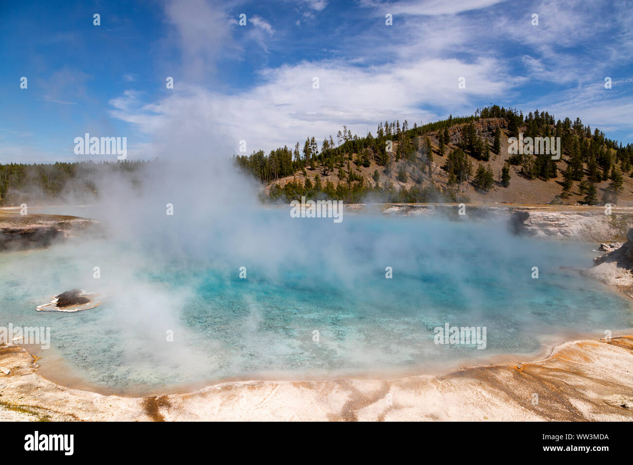 Dampf steigt aus dem Pool des Grand Prismatic Spring im Yellowstone National Park. Es ist die größte heiße Quelle des Yellowstone National Park mit 200-330 Stockfoto