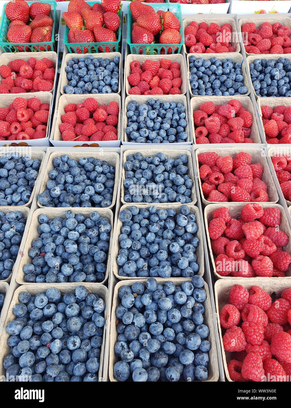 Wald Beeren auf der Theke Markt: Himbeere, Heidelbeere, Erdbeere Stockfoto