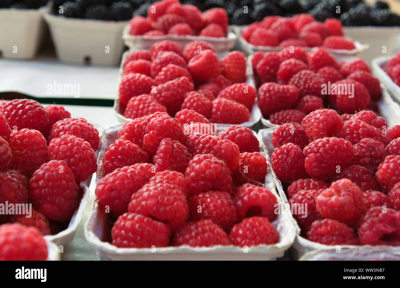Rote Himbeeren in Körben auf einem stand auf einem Bauernmarkt Stockfoto