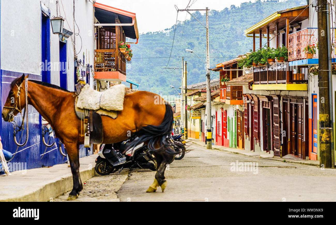 Blick auf Pferd in der Kolonialen Dorf Jardin in Kolumbien Stockfoto