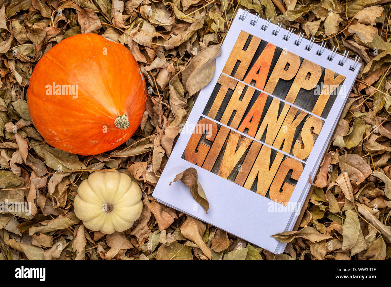 Happy Thanksgiving Grußkarte - Buchdruck Holz Typ Schriftzug in einem Skizzenbuch gegen trockene Herbst Blätter mit ornamentalen Kürbis Stockfoto