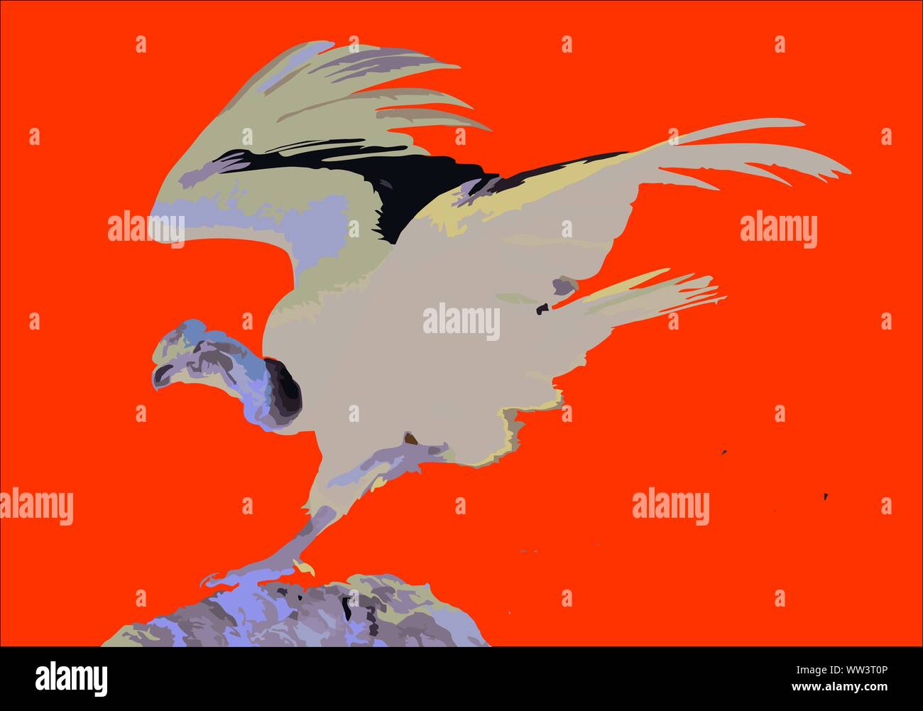 Peruanische Condor Abbildung, Anden big eagle Bird, die Sie in den Colca Cañon in Arequipa finden Stockfoto