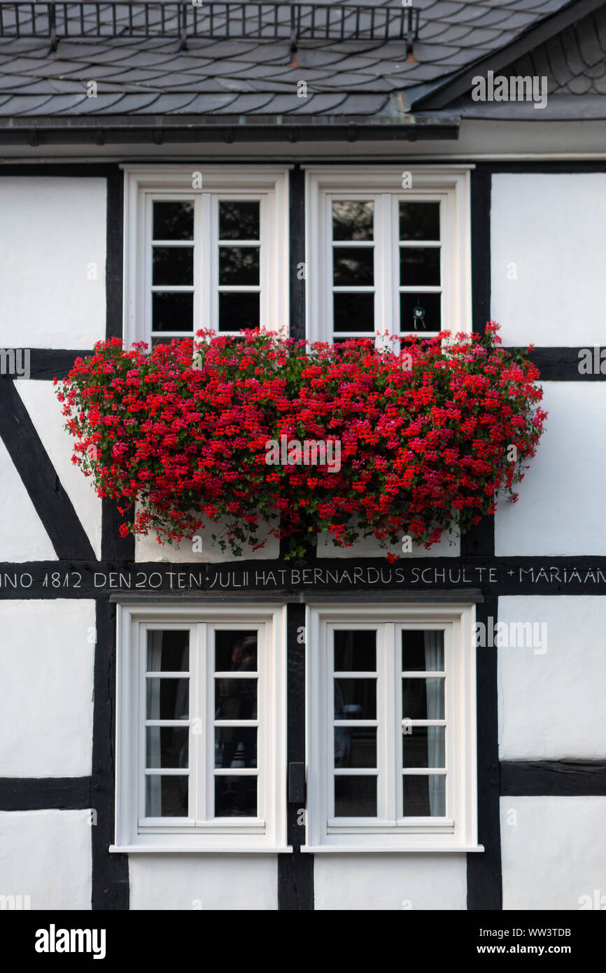 Architektonisches Detail der typischen Fachwerkhäuser Vakwerk Wohnungen im Kurort Grafschaft im Sauerland in Deutschland mit roten Blumen Dekor Stockfoto