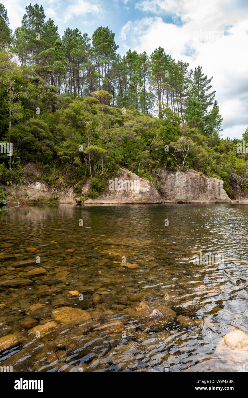 Biegen in einem langsamen Fluss unter New Zealand native Bush. Stockfoto