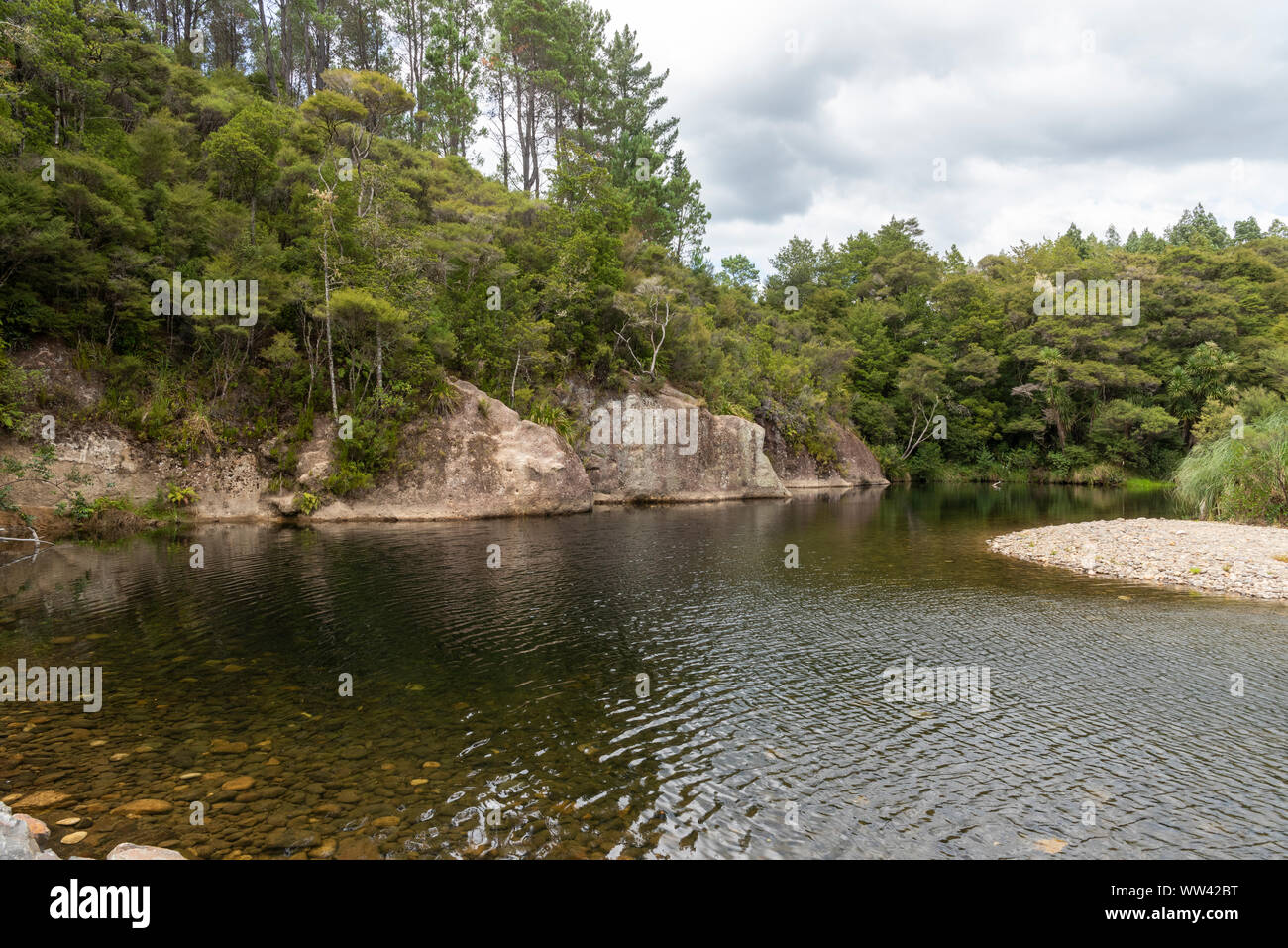 Biegen in einem langsamen Fluss unter New Zealand native Bush. Stockfoto