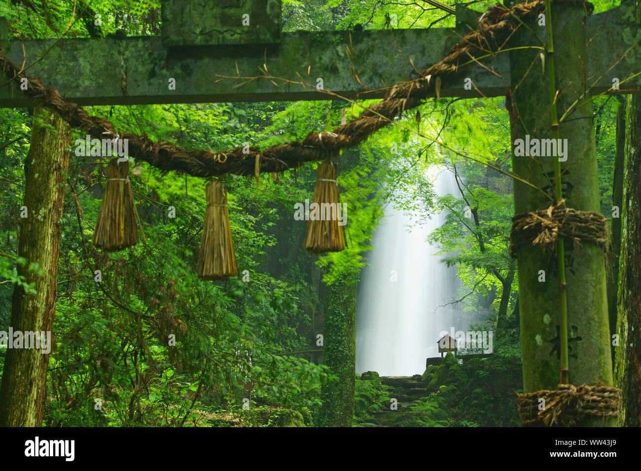 Shiraito Wasserfall, Präfektur Kumamoto, Japan Stockfoto