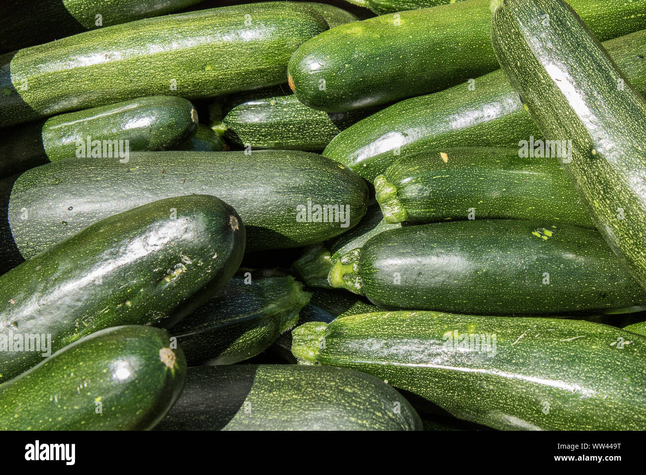 Einfach Gemüse aus dem Garten Stockfoto