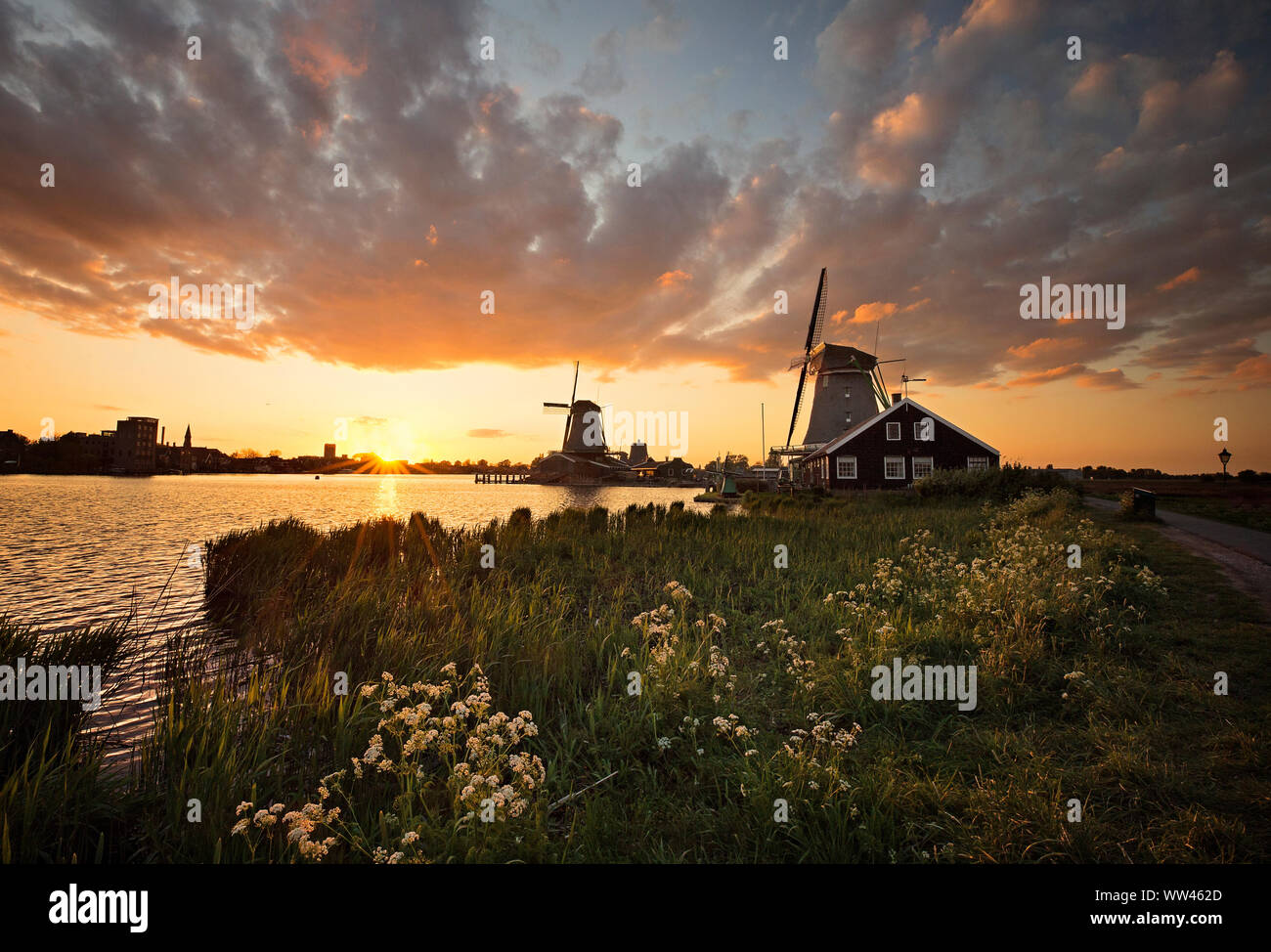 Malerische historische Lage; Zaanse Schans. Windmühlen am Kanal entlang. Der niederländischen Geschichte wird lebendig durch das Museum und viele Werkstätten und Gebäude. Stockfoto