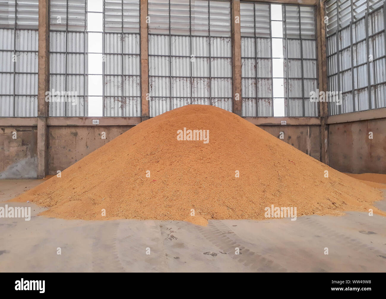 Ein Haufen von Rohreis Samen, Reis lieferbar Samen an der Mühle, Hitze zu Backofen, Auffangvorrichtungen Reissaatgut in Der große Sack. Stockfoto