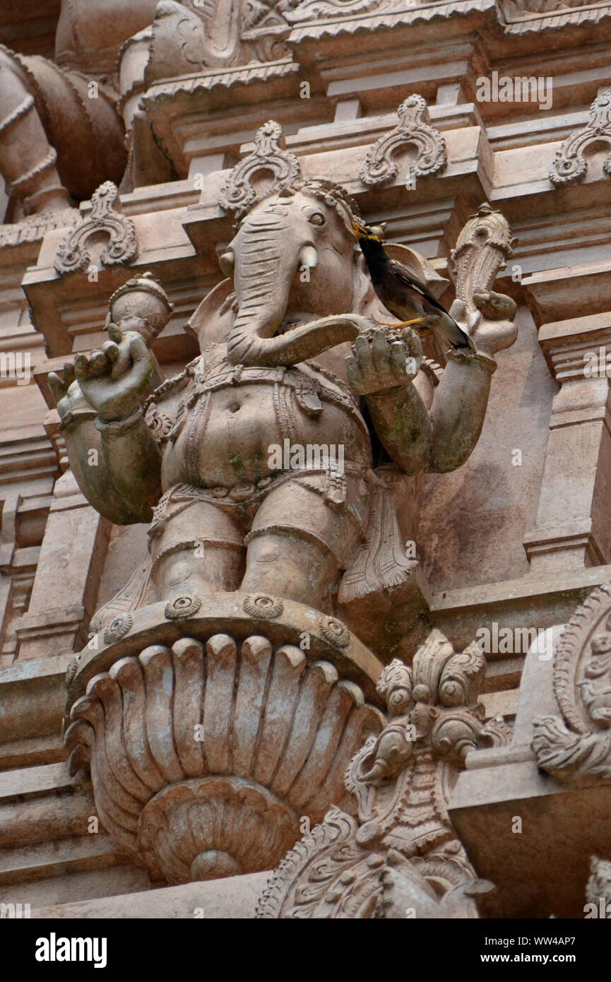 Vögel nisten in Sri Shakti Tempel, einer der wichtigsten touristischen Destinationen in der Grafschaft von Selangor gerade in der Nähe von Kuala Lumpur, Malaysia. Stockfoto