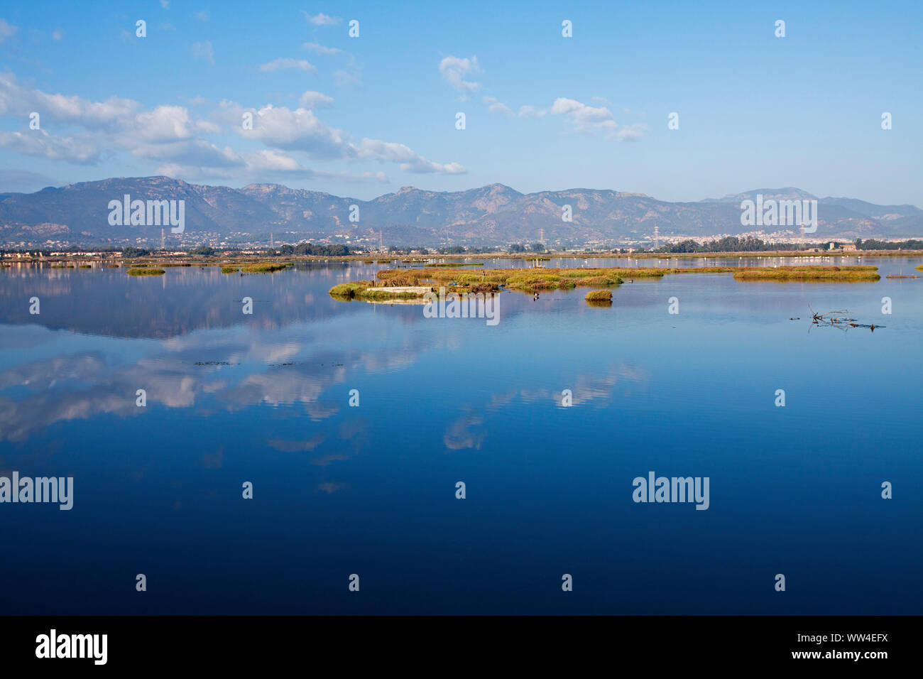 Am frühen Morgen Licht über dem Stagno di Cagliari Sardinien Italien September 2014 Stockfoto