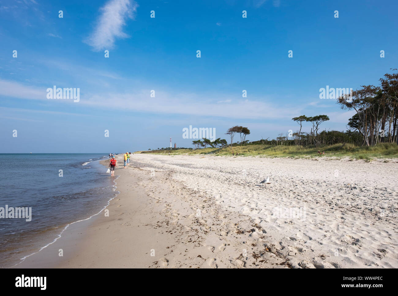 West Strand an der Ostsee mit Leuchtturm DarÃŸer Ort, geboren bin DarÃŸ, DarÃŸ, Fischland-Darß-Zingst, Nationalpark Vorpommersche Boddenlandschaft, Mecklenburg-Vorpommern, Deutschland Stockfoto