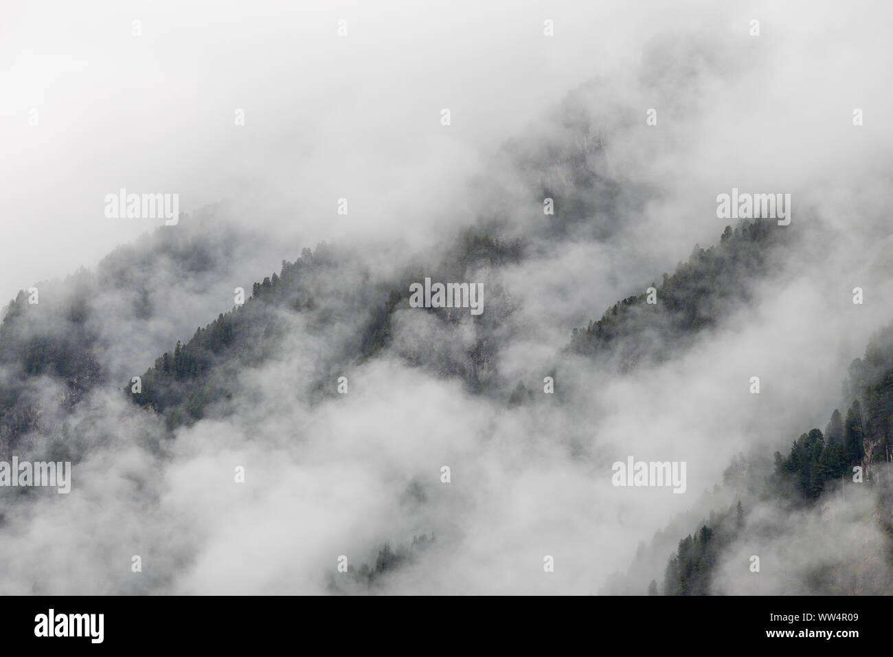 Wolken, Nebel über dem Wald. Krimmler Achental. Nationalpark Hohe Tauern. Österreichischen Alpen. Stockfoto