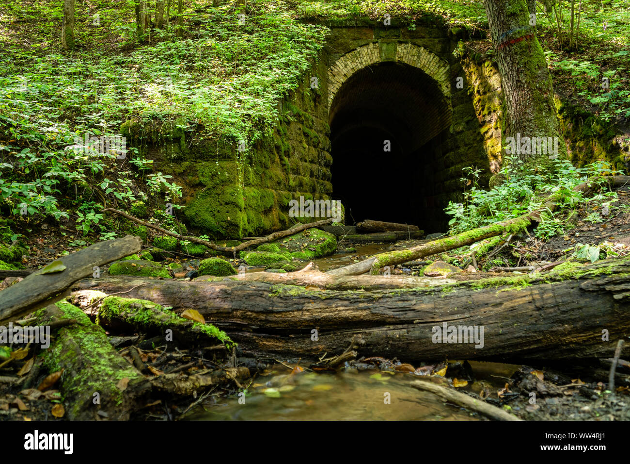 19. jahrhundert Zug Morterties Tunnel mit Fluss unter. Touristische Attraktion in der Nähe Alytus, Litauen Stockfoto