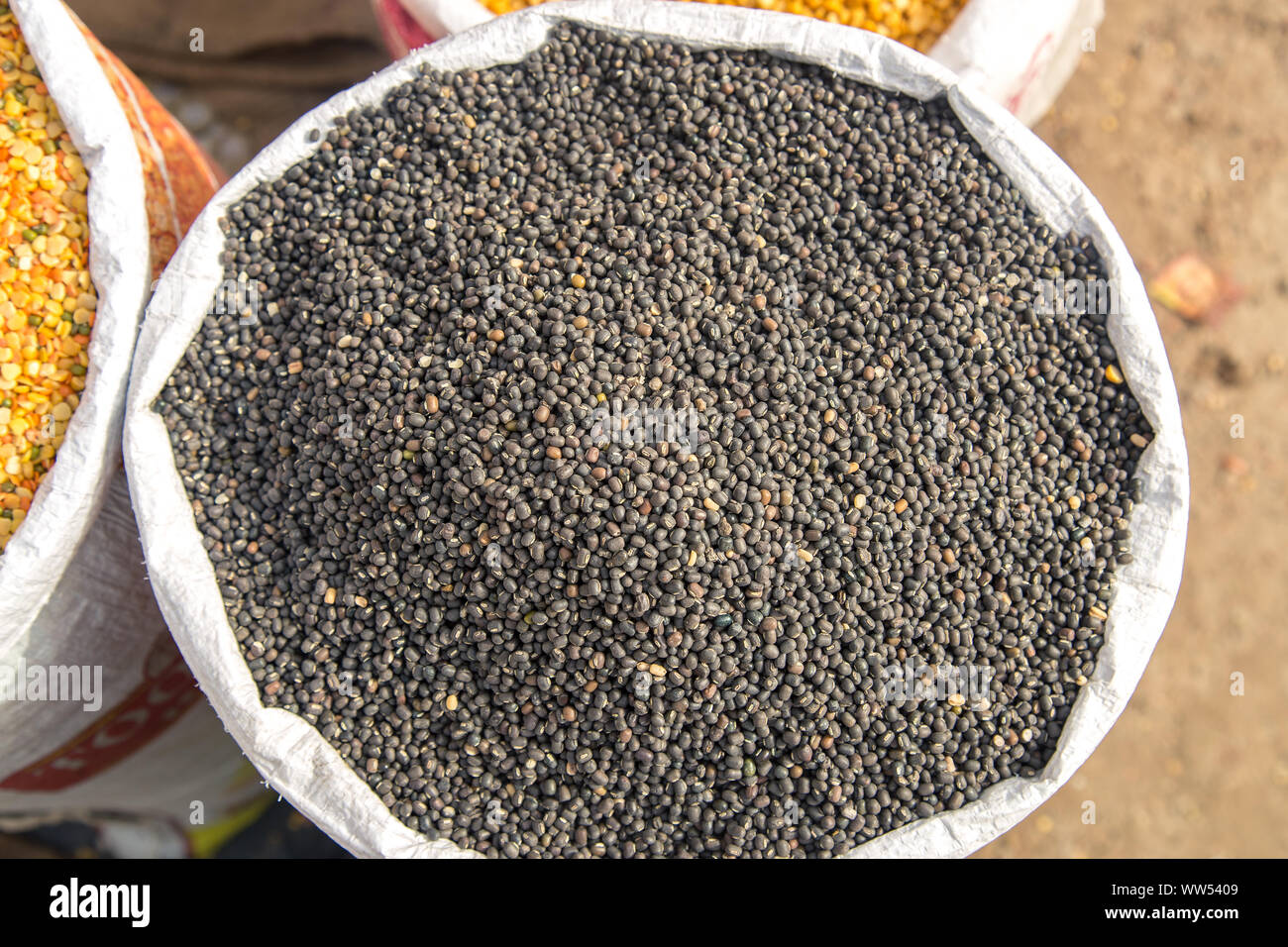 Sackleinen, Tasche voll Schwarz urad dal Bohnen Linsen. Konzept für das Ergebnis oder verbringen Sie in der Landwirtschaft. Stockfoto