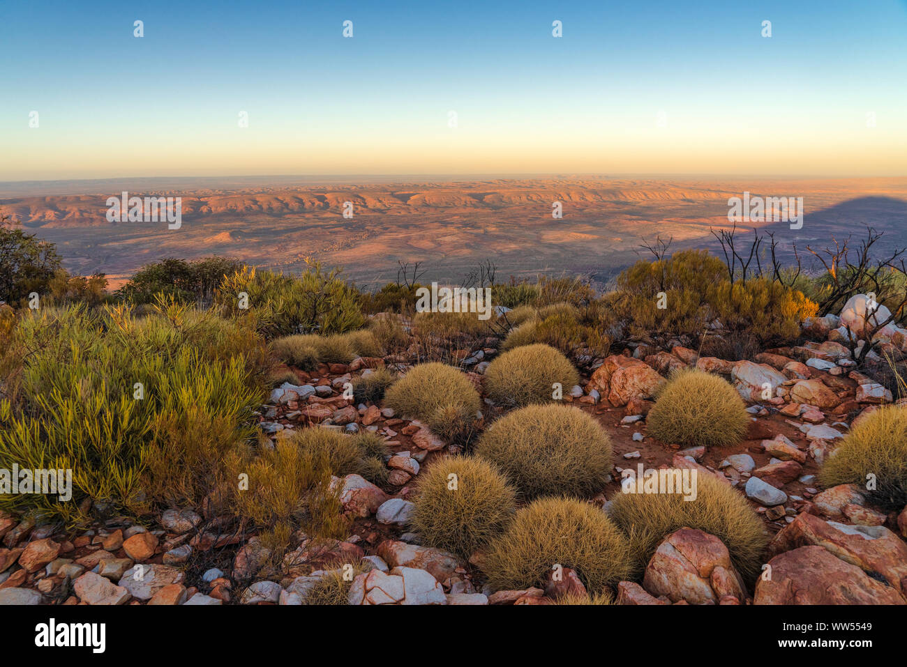 Mt Sonder Gipfel und spinifex Pflanzen bei Sonnenaufgang, West MacDonnell National Park, Northern Territory, Australien Stockfoto