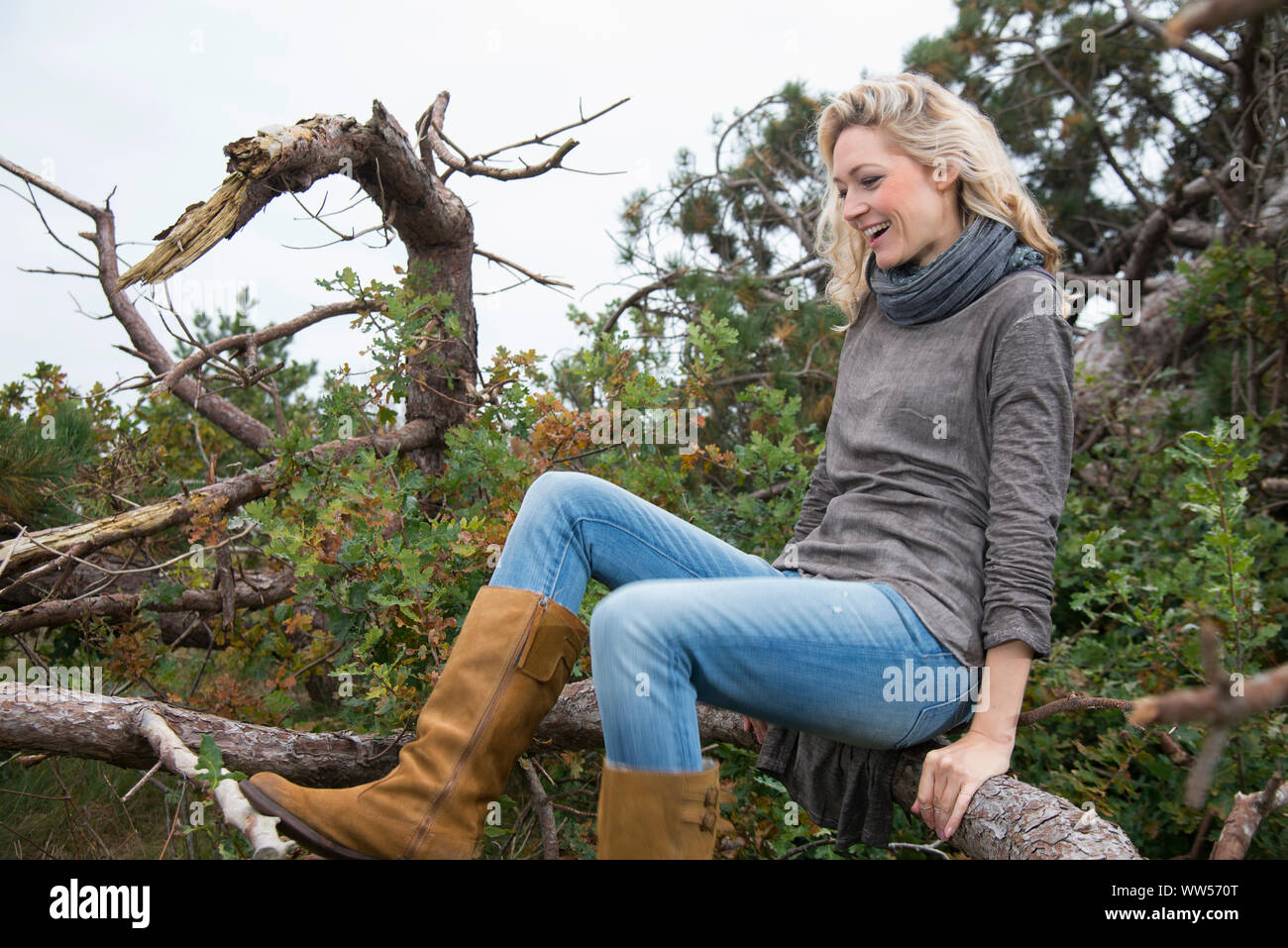 Frau sitzt lachend auf umgefallene Baum Stockfoto
