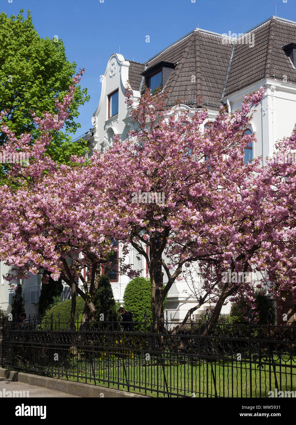 GrÃ¼Nderzeit Villa in Schwachhausen, Bremen, Deutschland, Europa Stockfoto