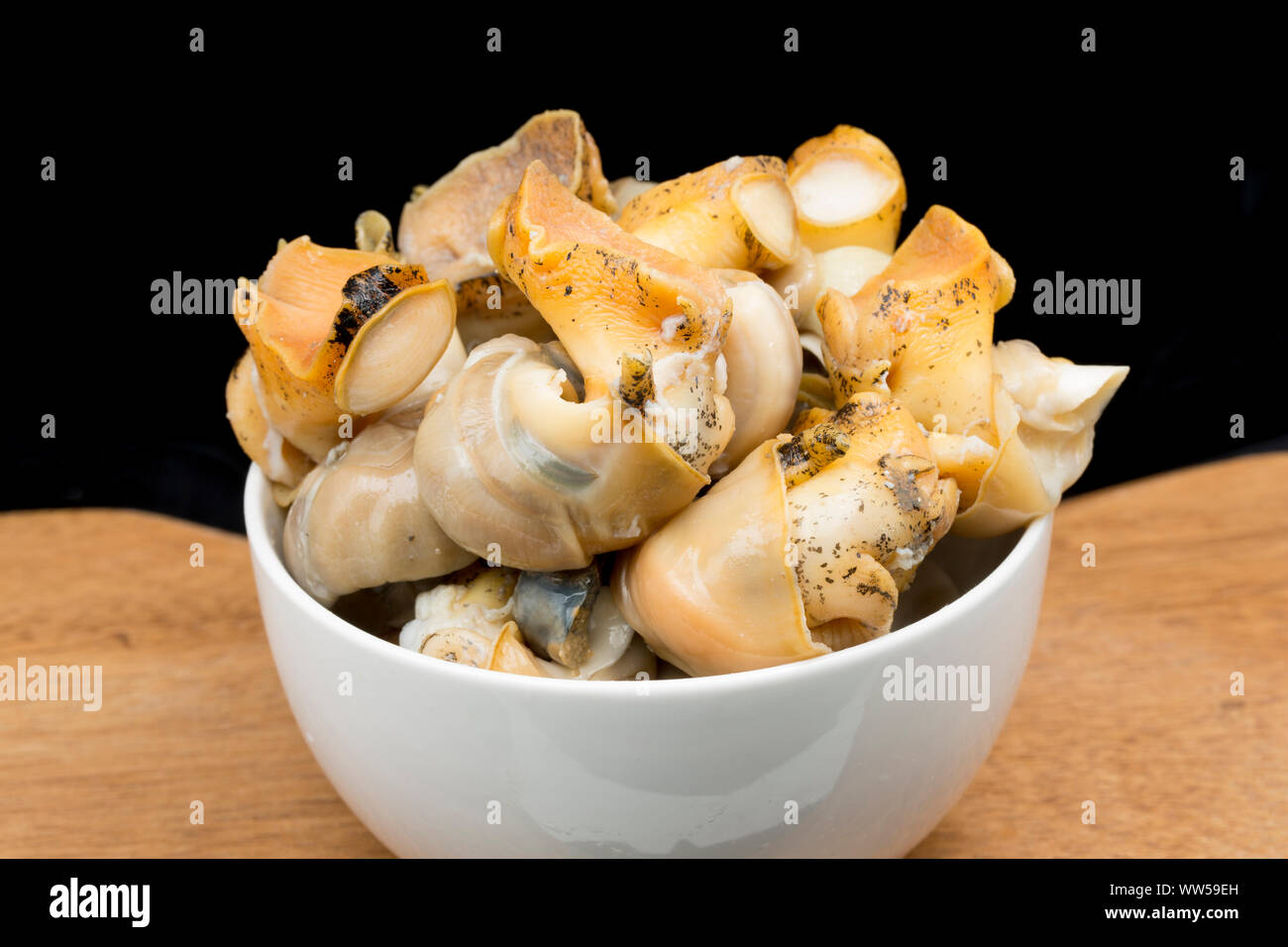 Eine Schale gekocht, gekocht, wellhornschnecken Buccinum undatum. England UK GB Stockfoto