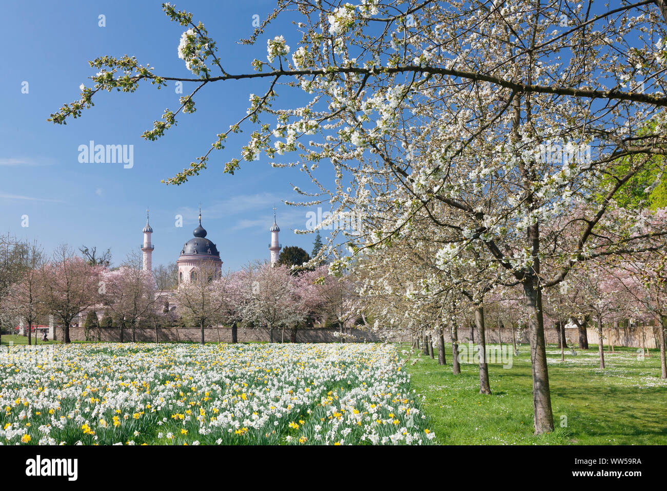 Deutschland, Baden-Württemberg, Schwetzingen, Moschee in den Schlossgarten, Feder Stockfoto