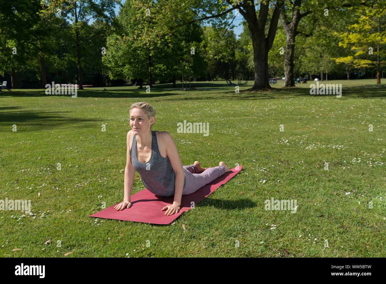 Frau in Trainingskleidung auf rosa matt im Park, Yoga, Gymnastik, Stockfoto