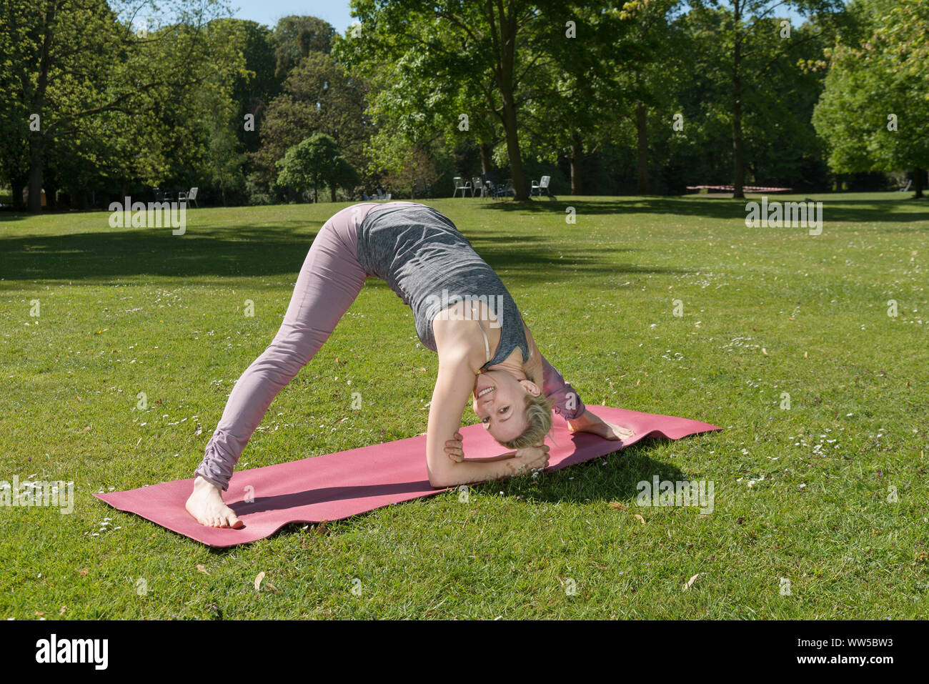 Frau in Trainingskleidung auf rosa matt im Park, Yoga, Gymnastik, Bücken, an der Kamera suchen, lächelnd Stockfoto