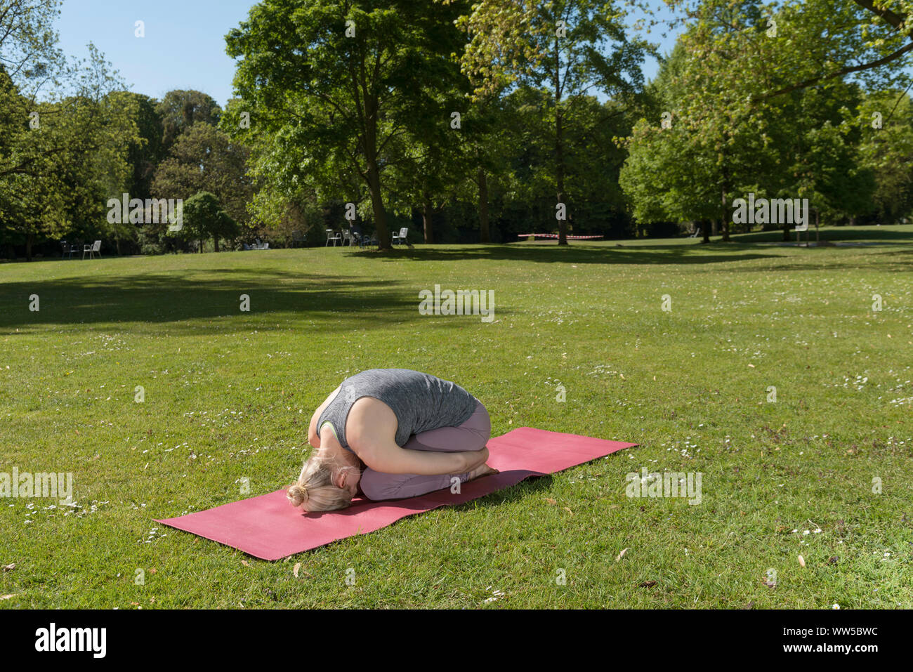 Frau in Trainingskleidung auf rosa matt im Park, Yoga Stockfoto