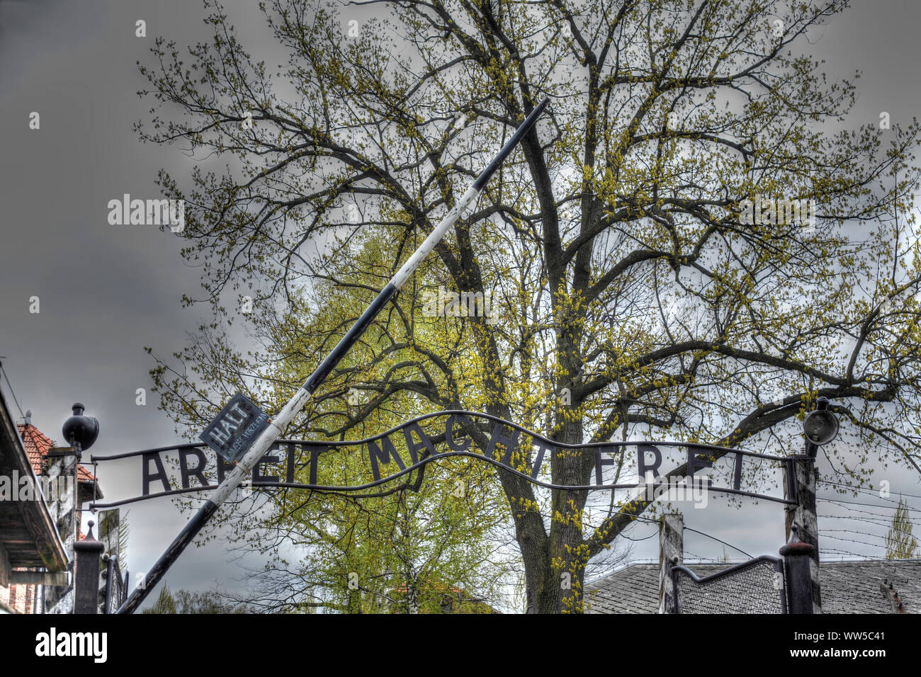 Gatter mit dem Schreiben 'Arbeit macht frei', Vernichtungslager Auschwitz I, Auschwitz, Kleinpolen, Polen, Europa Stockfoto