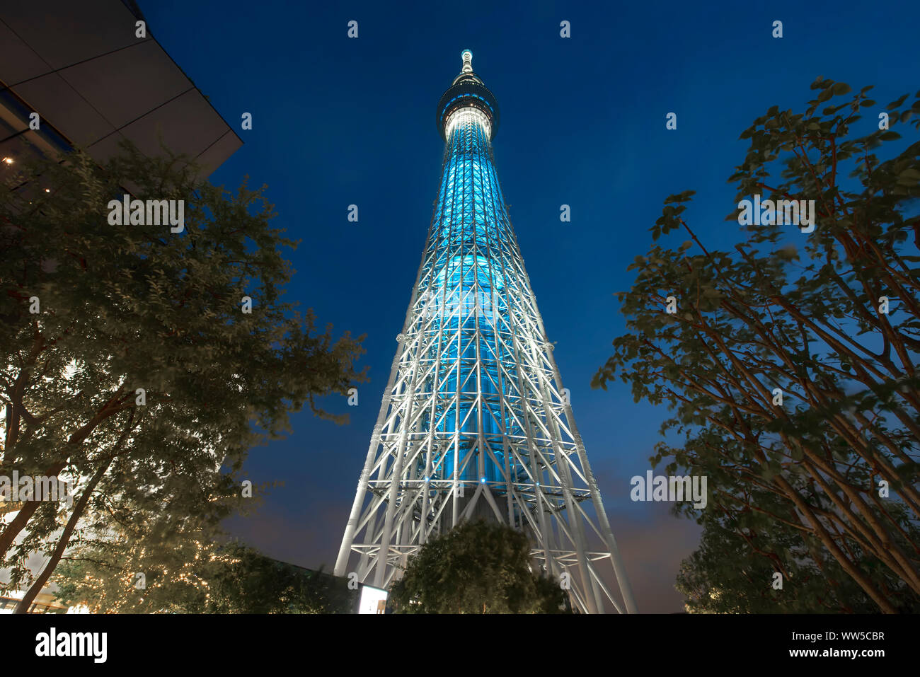 Skytree Tokio bei Nacht, Sumida, Tokio, Honshu, Japan Stockfoto