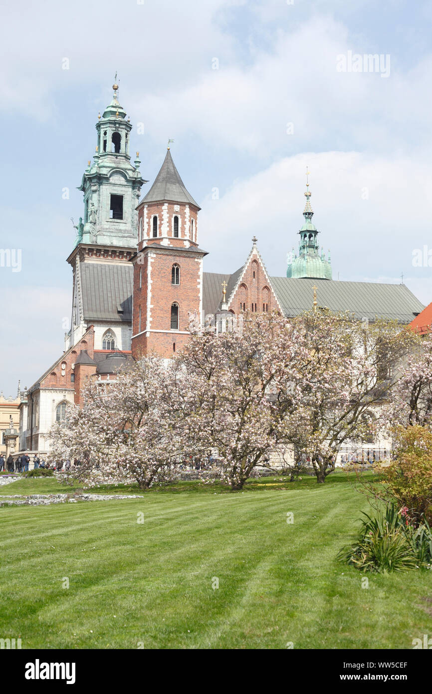 Kathedrale auf dem Wawel, Krakau, Kleinpolen, Polen, Europa Stockfoto