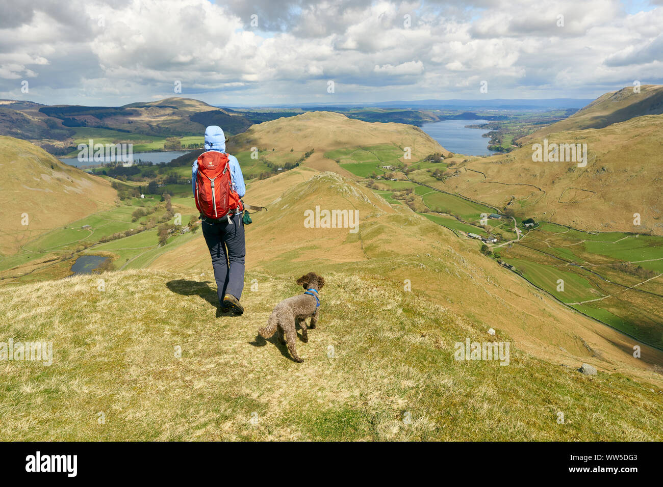 Ein Wanderer und ihrem Hund zu Fuß vom Gipfel des Beda fiel in Richtung Ullswater in der Ferne. Lake District, England. Stockfoto