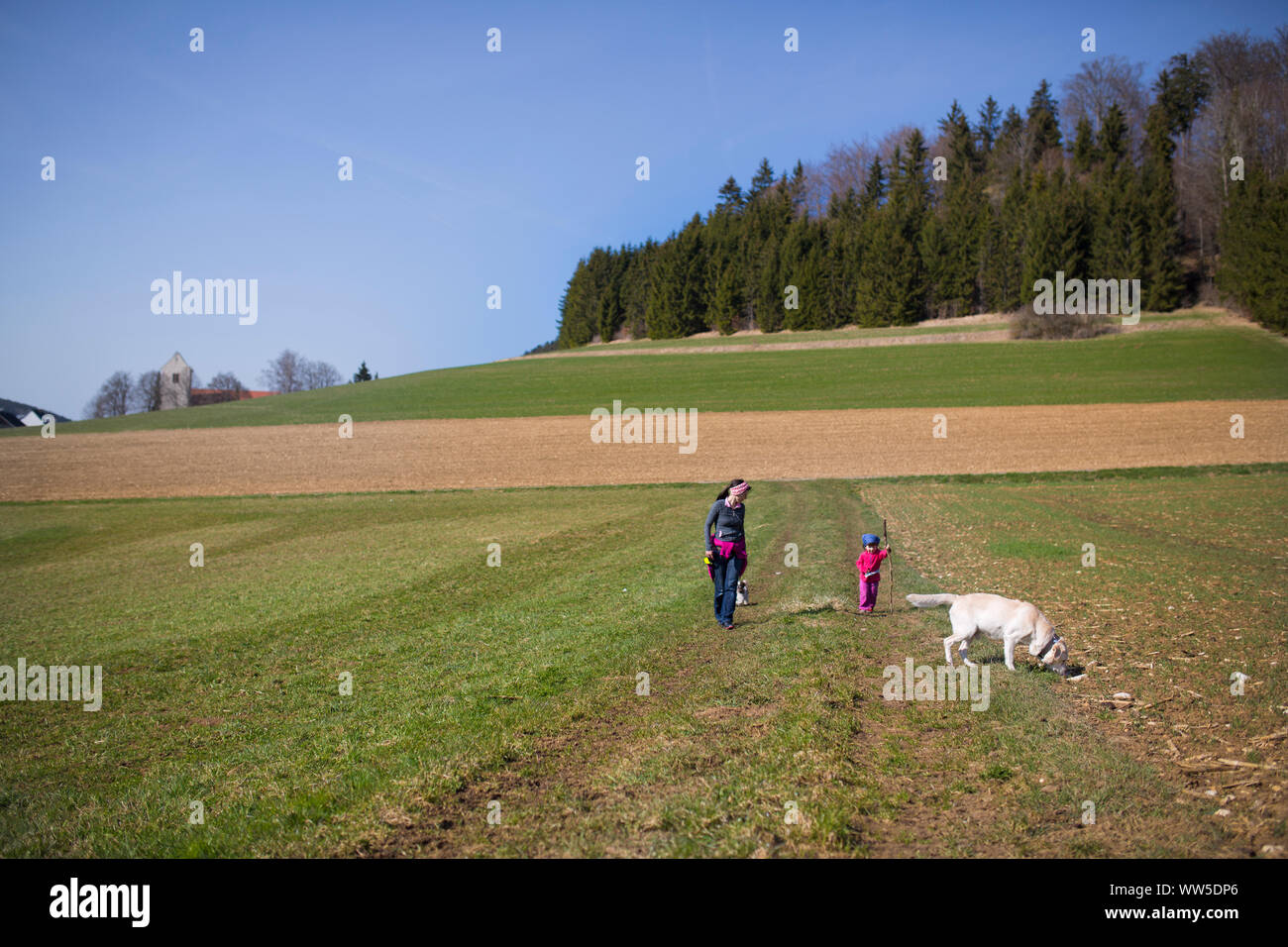 Mutter mit Tochter in roter Jacke und weißer Hund auf dem Feld Stockfoto