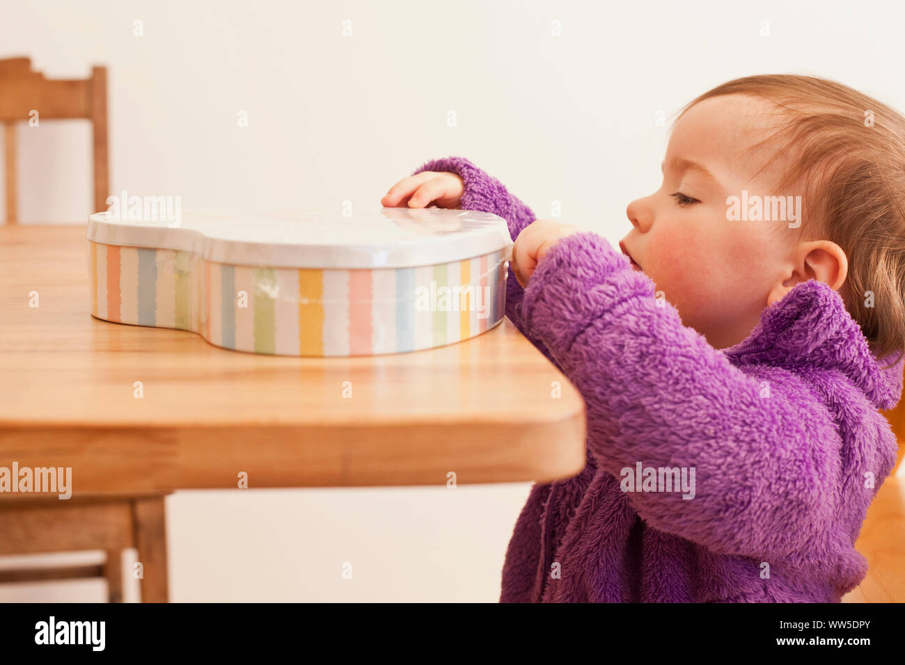 1-3 Jahre altes Mädchen mit lila wolle Jacke stehend am Tisch mit vorhanden Stockfoto