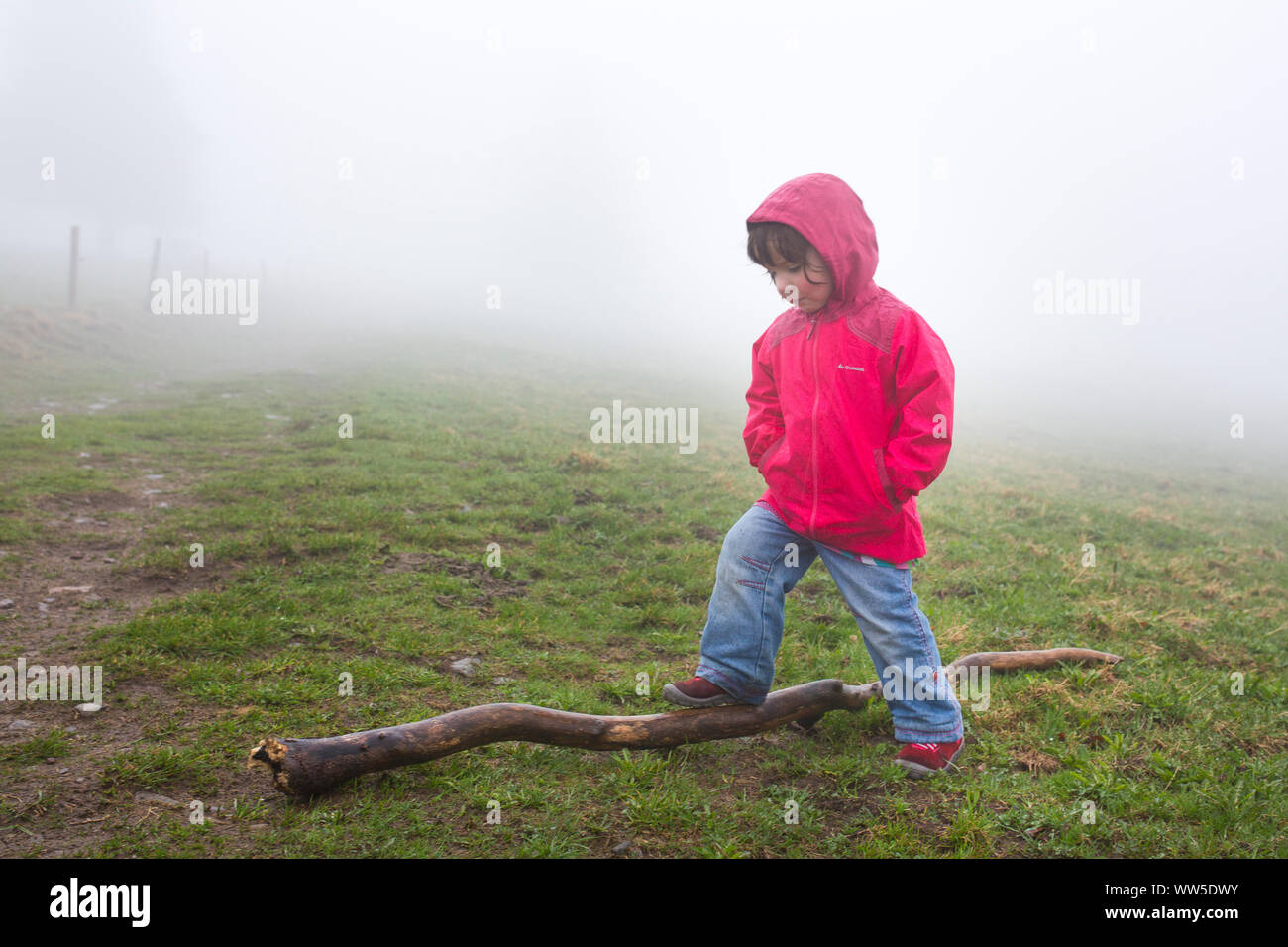 5-jähriges Mädchen mit roter Jacke ein Spaziergang im Nebel Stockfoto