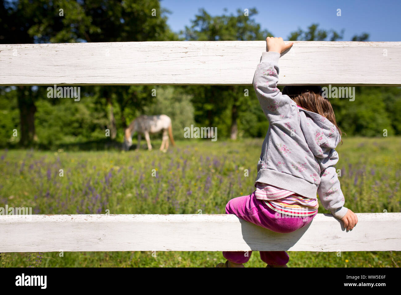 4-6 Jahre alten Kind sitzen auf einem weißen Holzzaun und ein Pferd auf der Weide Stockfoto