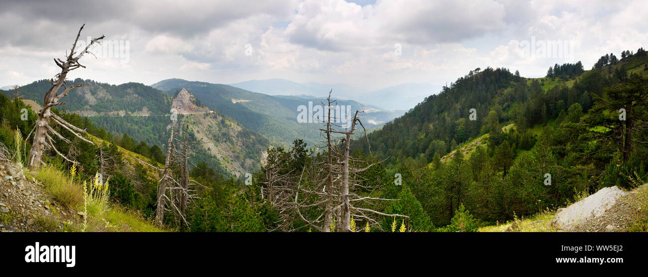 Panorama, verknöcherten Baum auf Hügel mit grünen Berglandschaft im Hintergrund Stockfoto