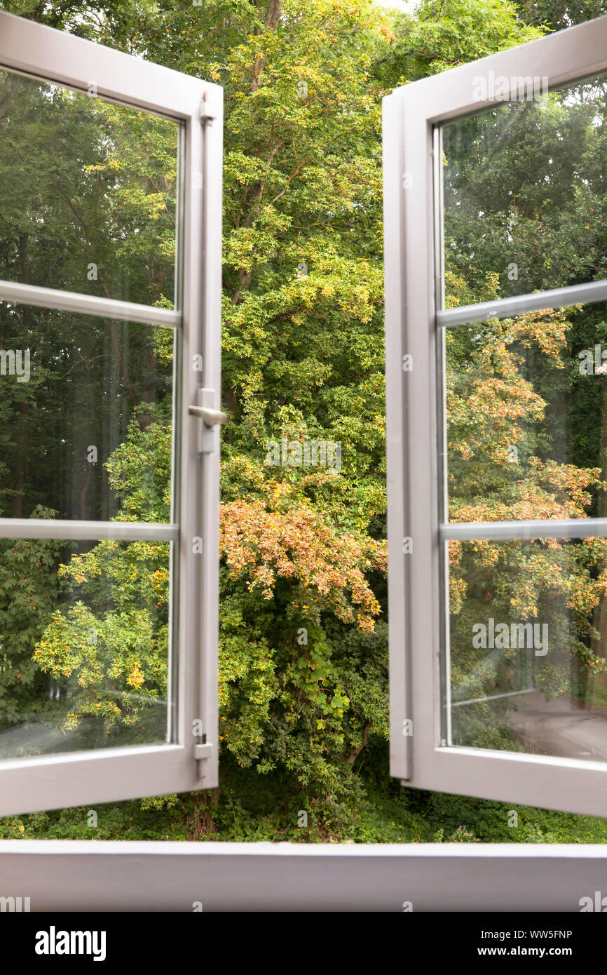 Blick aus dem Fenster in Oostkapelle auf der Halbinsel Walcheren, Wald von De Manteling Naturschutzgebiet, Zeeland, Niederlande. Blick aus einem Fens Stockfoto
