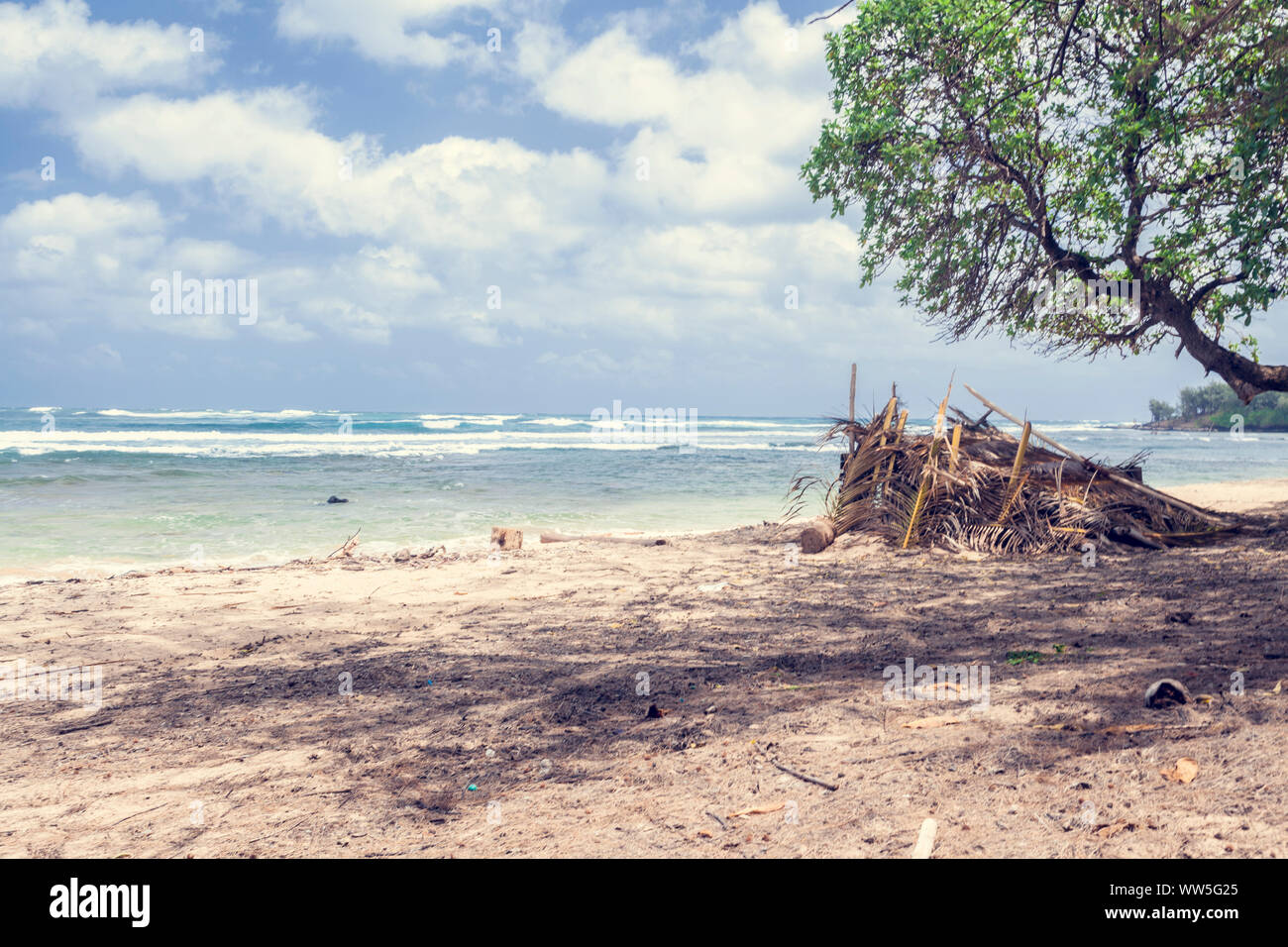 Palm Hütte am einsamen Strand, Kauai, Hawaii, USA Stockfoto