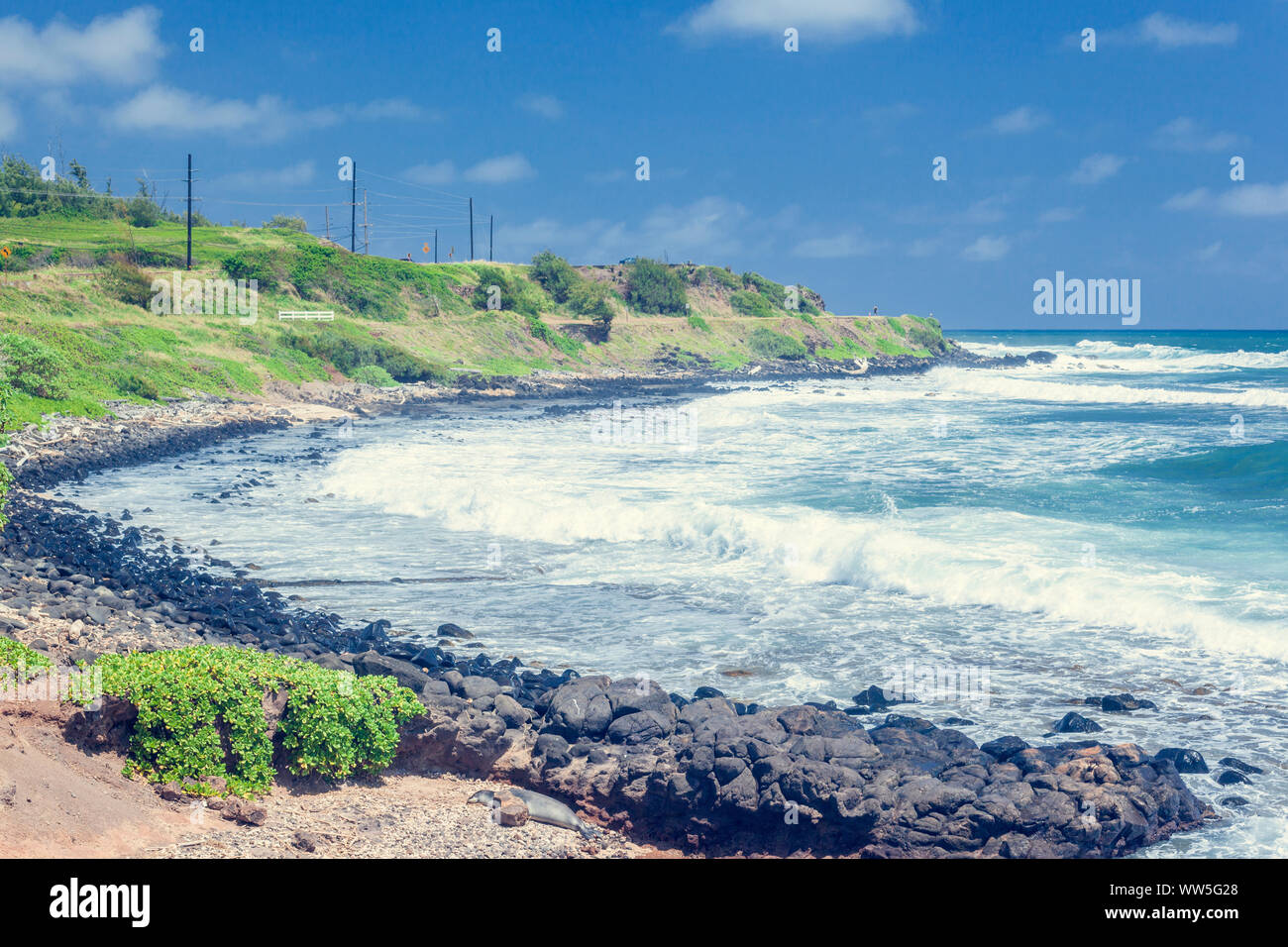 Meer, starker Dünung, Küste, Kauai, Hawaii, USA Stockfoto
