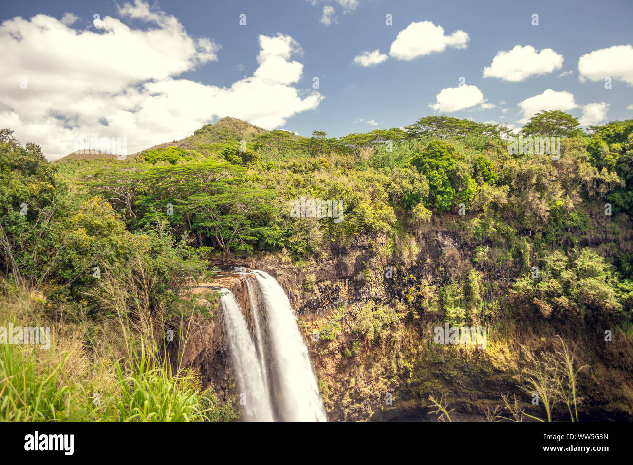 Urwald mit Wasserfall im Landesinneren, Kauai, Hawaii, USA Stockfoto