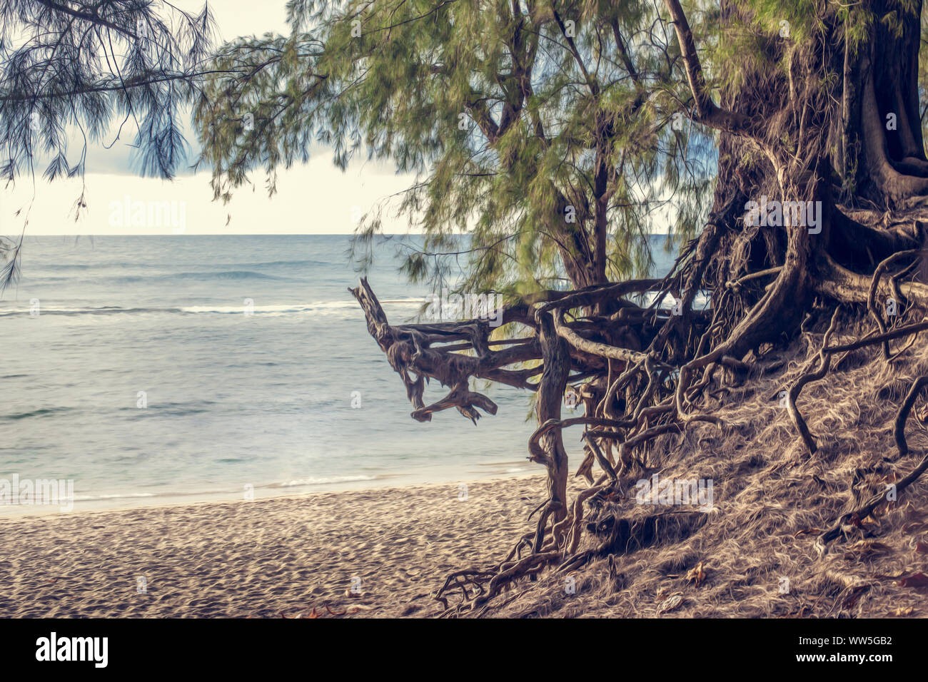 Lonesome Beach, Kauai, Hawaii, USA Stockfoto