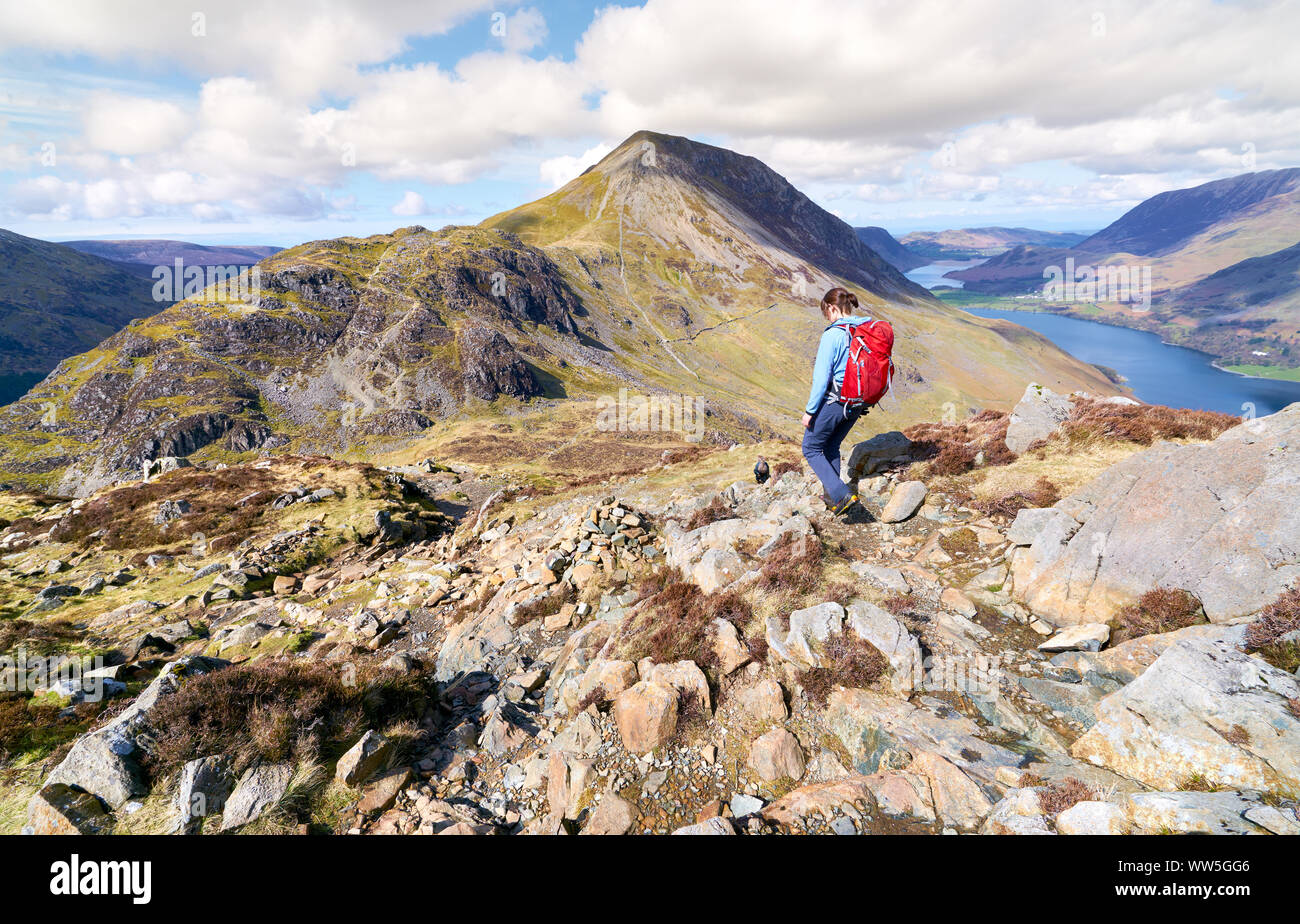 Eine weibliche Wanderer und ihrem Hund absteigend Ein steiniger Weg vom Gipfel des Hay Stacks im englischen Lake District. Stockfoto