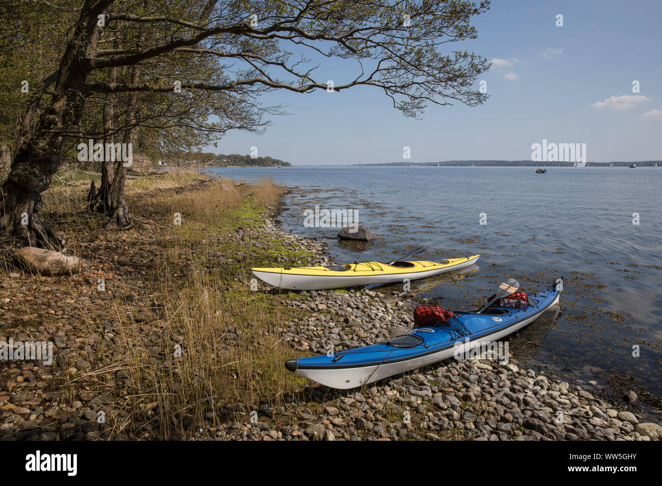 Dänemark, Süddänemark, Flensburger Förde, zwei Kajaks am Ufer Stockfoto