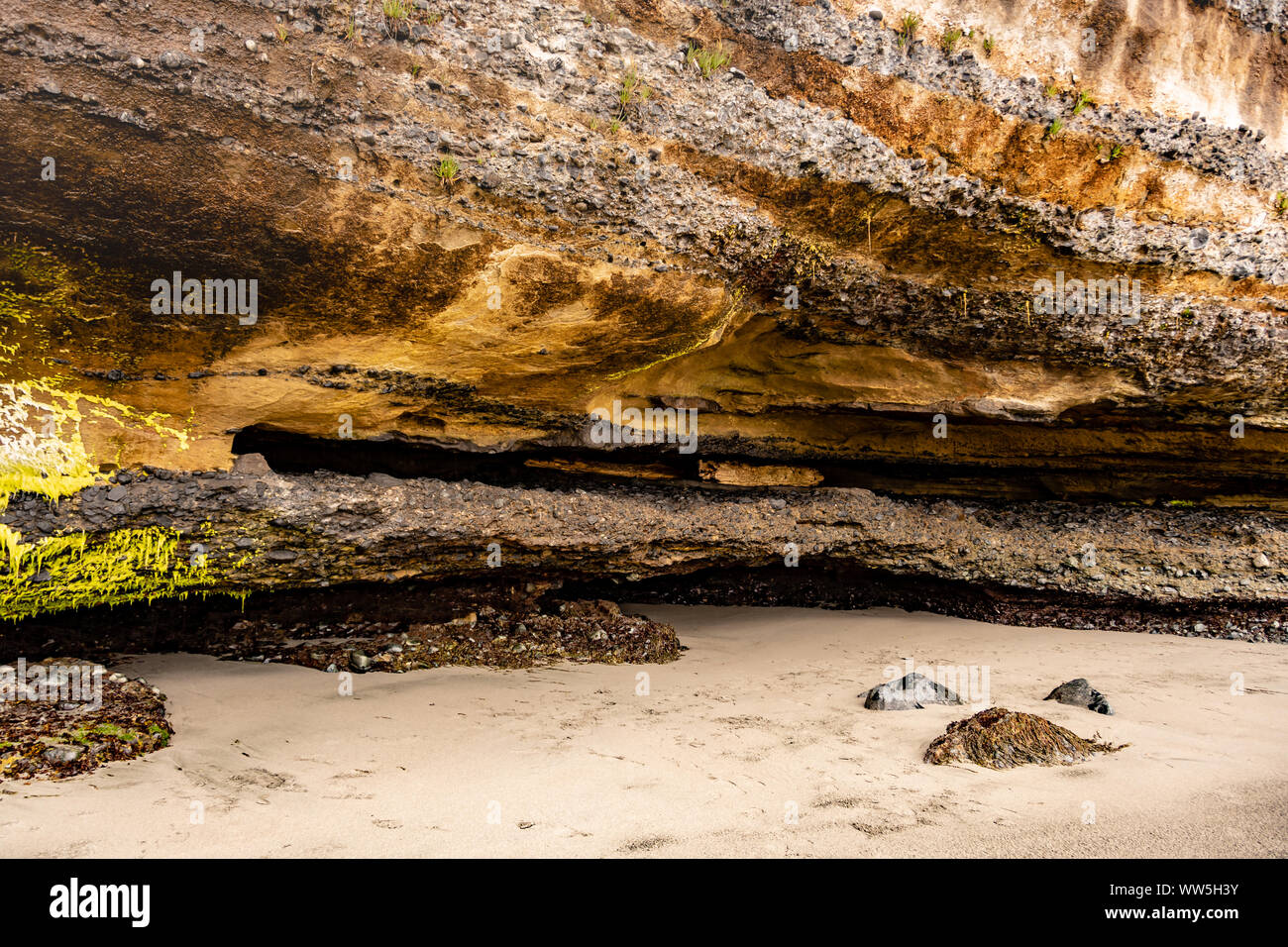 Sandsteinfelsen auf mystische Strand, Vancouver Island, British Columbia, Kanada Stockfoto