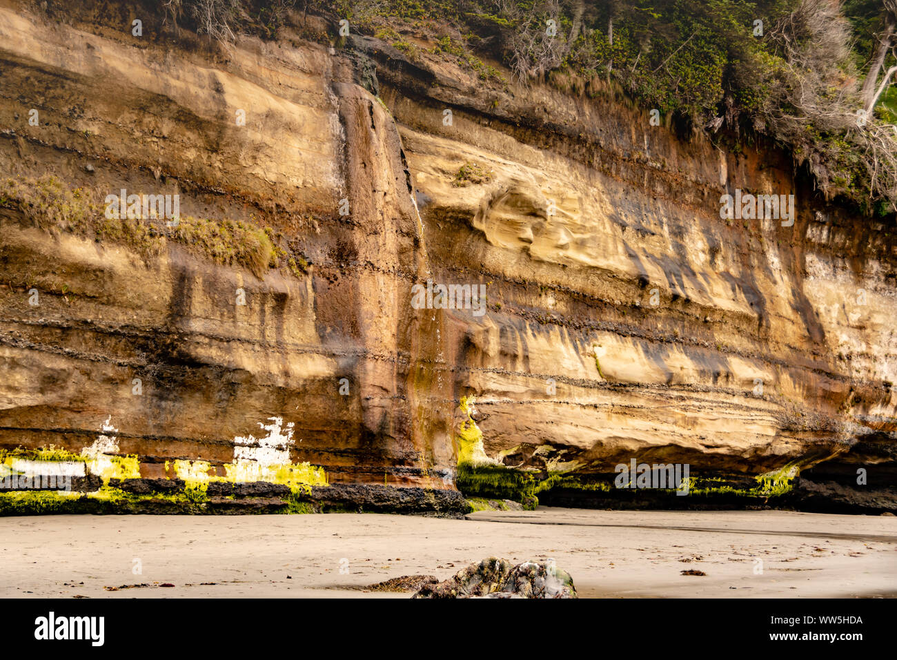 Sandsteinfelsen auf mystische Strand, Vancouver Island, British Columbia, Kanada Stockfoto