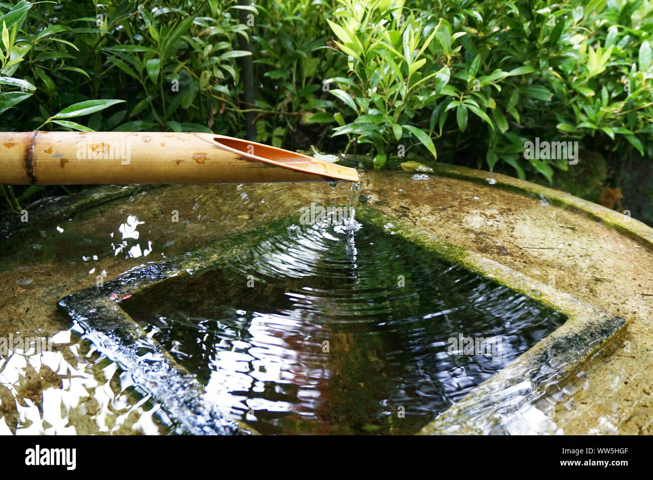Bambus pipeline -Fotos und -Bildmaterial in hoher Auflsung  Alamy